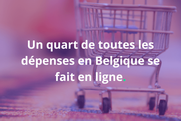 Rapport annuel sur le commerce électronique en Belgique